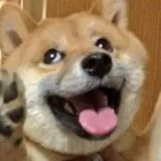 えんぷぷ