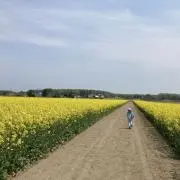 nanaの画像