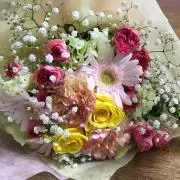 ぴえーるの画像