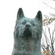 けいともこうの画像