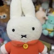 ♡ぶいぶいの画像