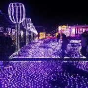 Makiの画像