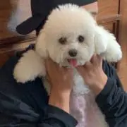 mの画像