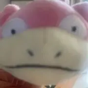 やどんの画像