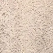 リリー