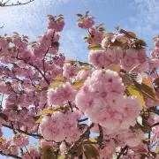 シキノ♡おまとめ割大歓迎