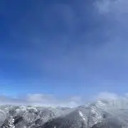 sjatpgの画像
