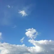 ゆゆ