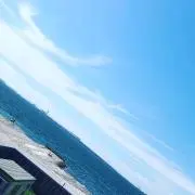 ゆたおの画像