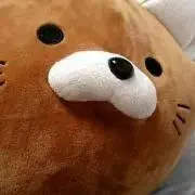 カエルの画像