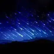アベルの画像