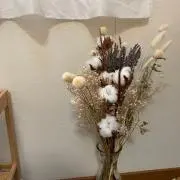 りんごの画像