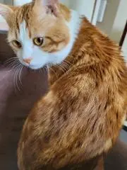 みぃ