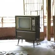 チャイーの画像