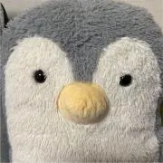 ぺんぺんの画像