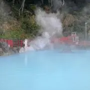 ゆっこの画像