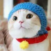 Tomoの画像