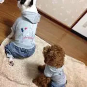 姫介