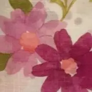 AYKH83  ※プロフ一読願います！の画像