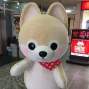 ぴーすけの画像