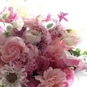やまこの画像