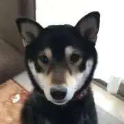 しずお★プロフィール必読⚠️の画像