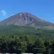 いぶいぶの画像