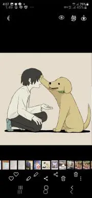 こむぎの画像
