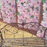 とぴあ☆の画像