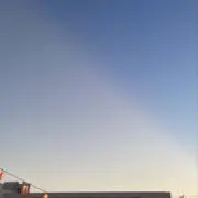 ラッキーの画像