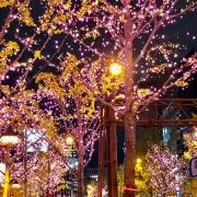 kacchanの画像