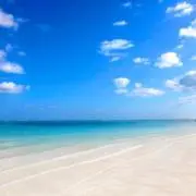 KEIの画像