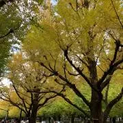 片付け中~の画像