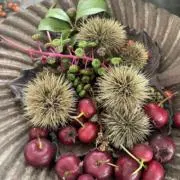 かの画像