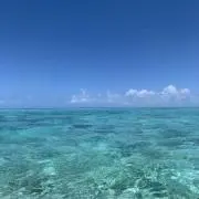 ぽの画像