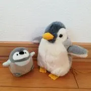 ameの画像