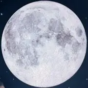 teteの画像