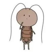 やまっちJ