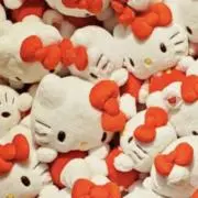 チャーミーの画像