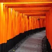 Y.M （自己紹介文必読お願いします）の画像