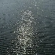 ♡の画像