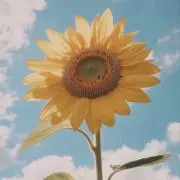 みゆ◯の画像