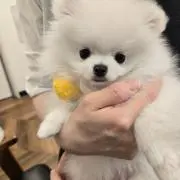 プロフィールを読んでくださいの画像