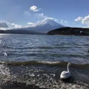 プチプチの画像