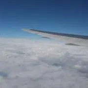 ぽんの画像