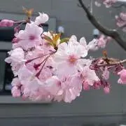 mi05の画像