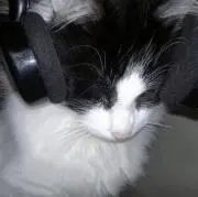 jnの画像