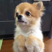 mi_me ！プロフ必読！