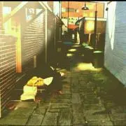 はりゅ