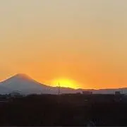 みいの画像
